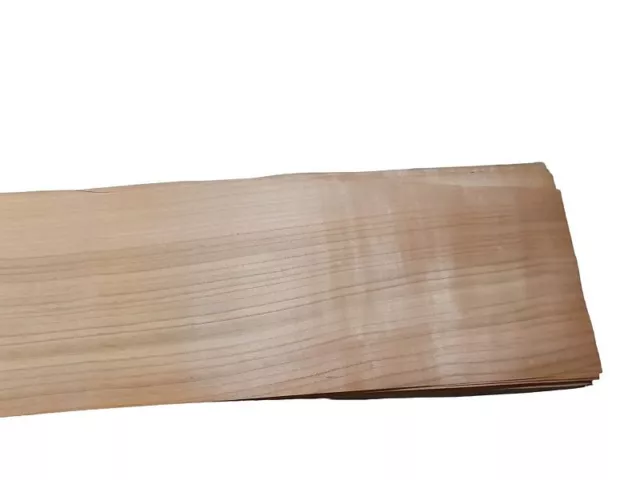 Impiallacciatura castagno 15 fogli 200 cm x 20 cm mobili legno pregiato design