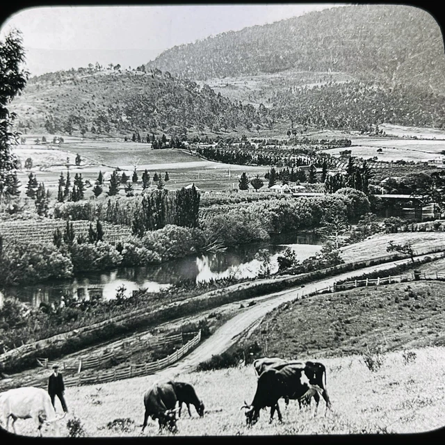 Vtg Magic Lantern Glass Slide Photo Keystone Derwent Valley Tasmania