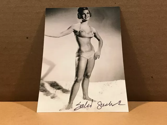 SALLI SACHSE Authentic Hand Signed Autograph 4x6 Photo - BEAUTIFUL ACTRESS