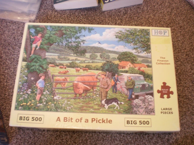 HOUSE OF PUZZLES - HOP - Big 500 Large Piece Jigsaw Puzzle - A BIT OF A ...