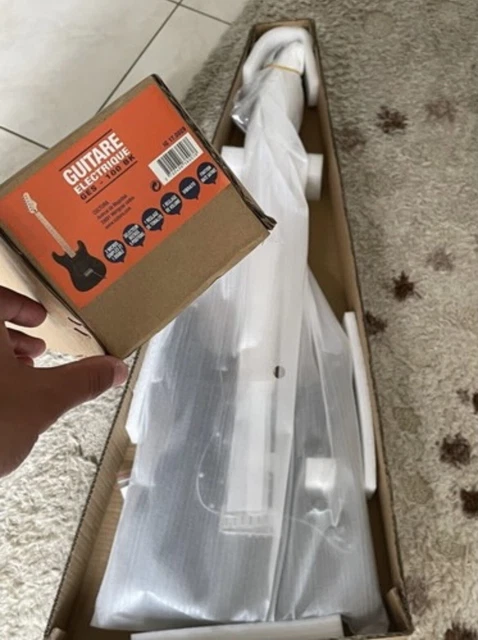 Guitare Électrique