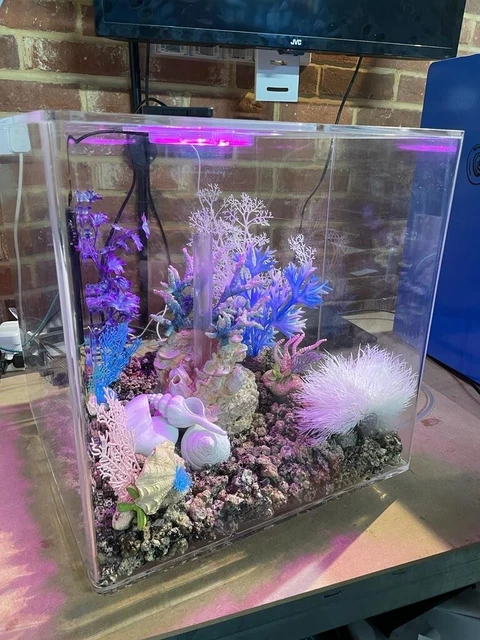 BiOrb CUBE 60L Complete Aquarium Fish Tank MCR LED - Clear 2