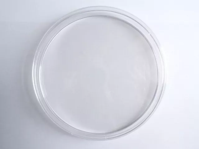 Boîte de Pétri Ronde 150mmx15mm - Plastique - Petri Dish - SEM13