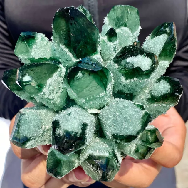 1.6LB New Find Green Phantom Quartz Crystal Cluster Mineral Specimen Healing