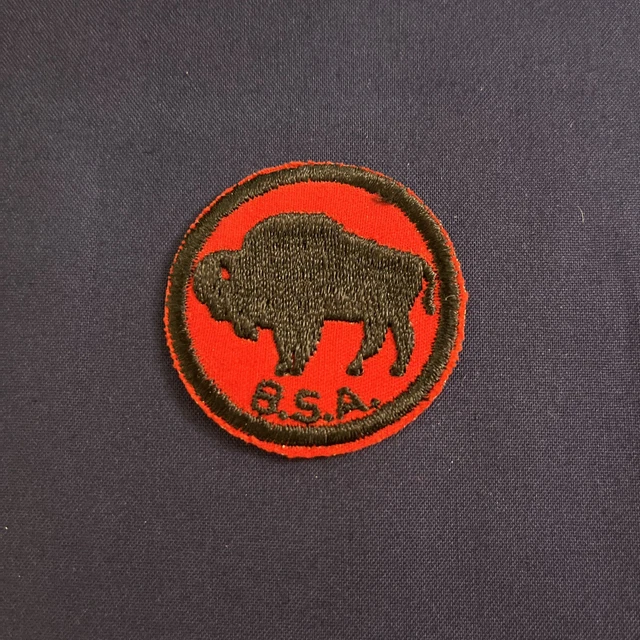 VINTAGE BOY SCOUT Bison Patrol Patch 1950’s60’s Twill Gum Back BSPG6