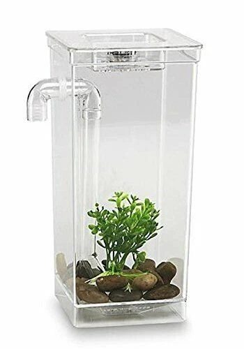 My Fun Fish Tank 4.5 x 4.5 x 10 inch fish tank