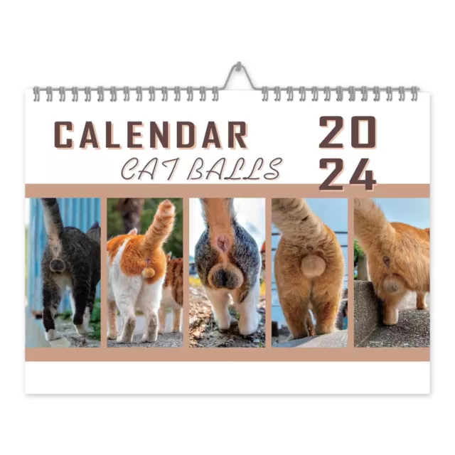 Cat Butthole Calendar 2024 Fun Calendar 12 Month Cat Ball Calendar with Space