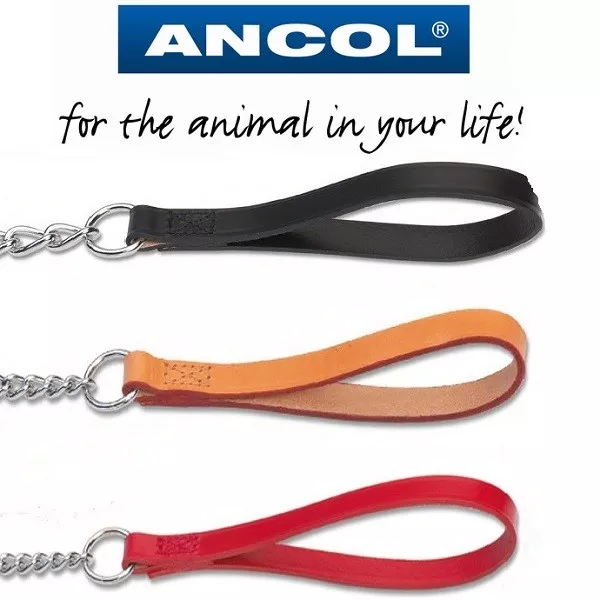 Ancol Dog Heavy Duty Chain Lead with Strong Leather Handle & Trigger Hook