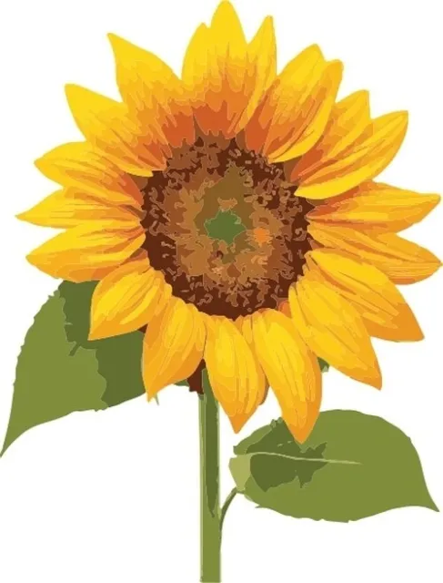 Sunflower Clipart Vector File, Design File