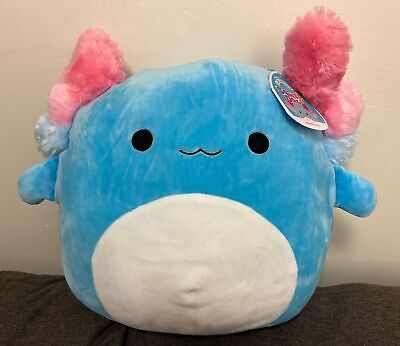 reina squishdoo