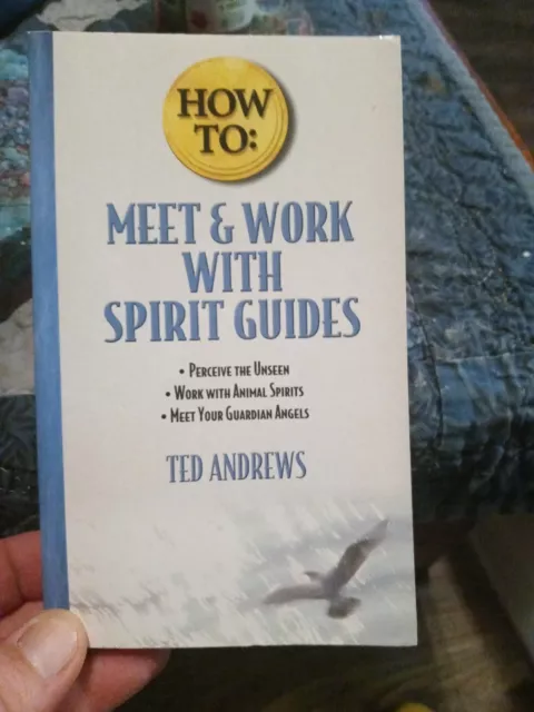 How to Meet & Work with Spirit Guides (Llewellyn's How to) - 2003