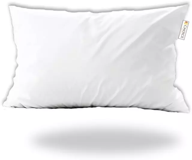 Choice Hotels ECOENDURE Pillow Made in USA 20X26 (Set of 2) Used in Quality,