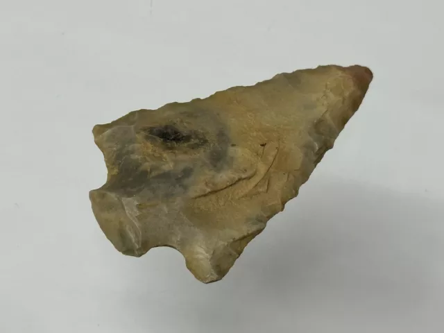Nice Archaic Corner Notch Found In Posey County Indiana Arrowhead
