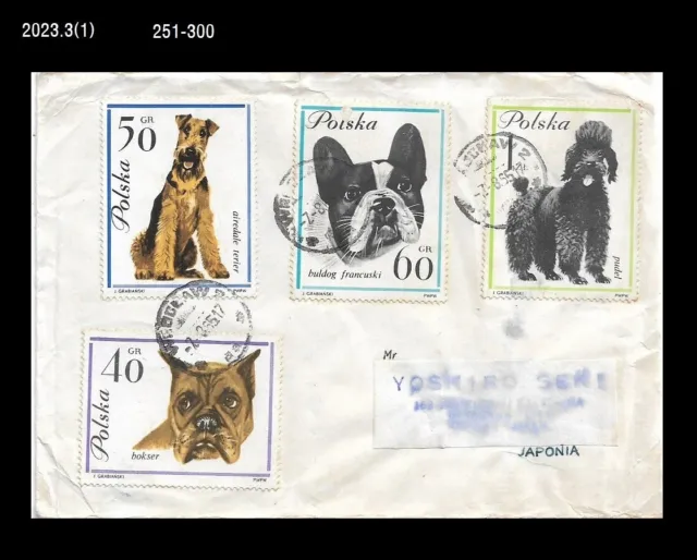 Puppy,Pet,Dog,Animal,Poland Cover to Japan