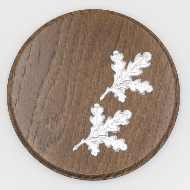 Placa de Jabalí Tablero Keiler Escudo de Trofeo Redondo Braun Af 15 CM Con 2X