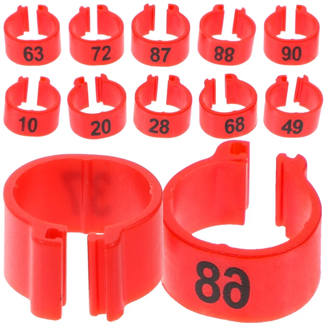 10 Supporti Per Uccelli In Plastica Verde - Posatoi Per Piccioni, Pappagalli - Gabbie E Voliere - Foto 6