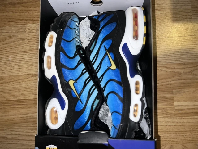 NIKE TN AIR max plus hyper blu 2018 EUR 373 92 PicClick IT