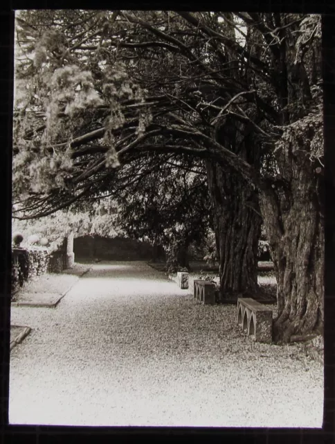 Glass Magic Lantern Slide HADDON HALL TERRACE C1910 HISTORIC OLD PHOTO TREES
