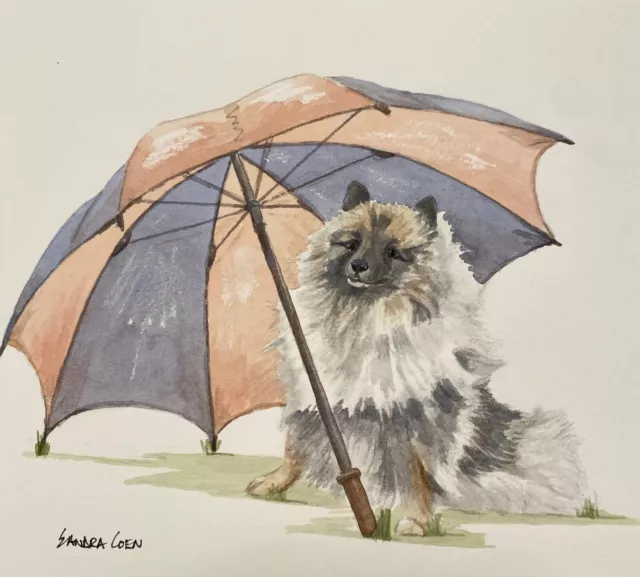 Keeshond Portrait  Original Watercolor Painting  by Sandra Coen