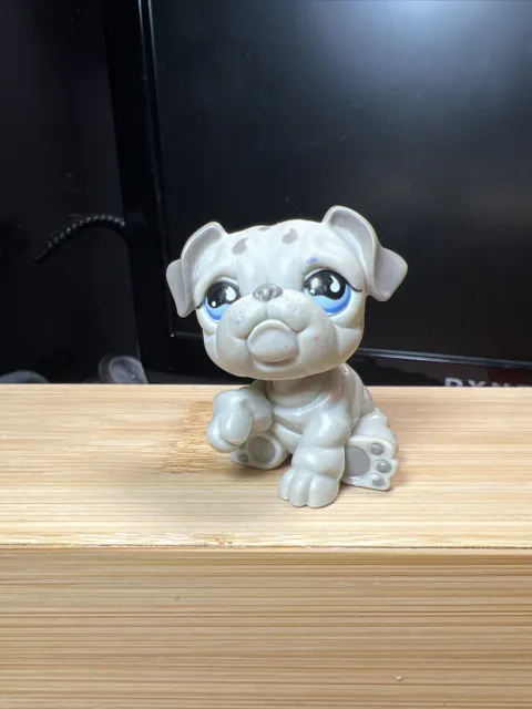 LPS Gray BULLDOG DOG #508 Teardrop Authentic Littlest Pet Shop - Hasbro