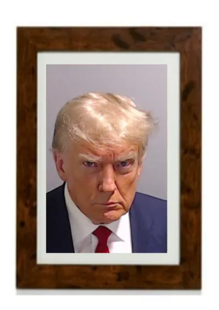 President Donald Trump Mugshot Framed Print