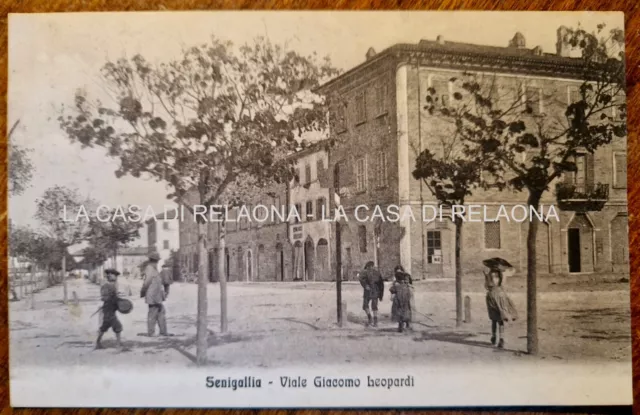 CARTOLINA SENIGALLIA Viale Giacomo Leopardi - ANNO 1913 -  fp Viaggiata