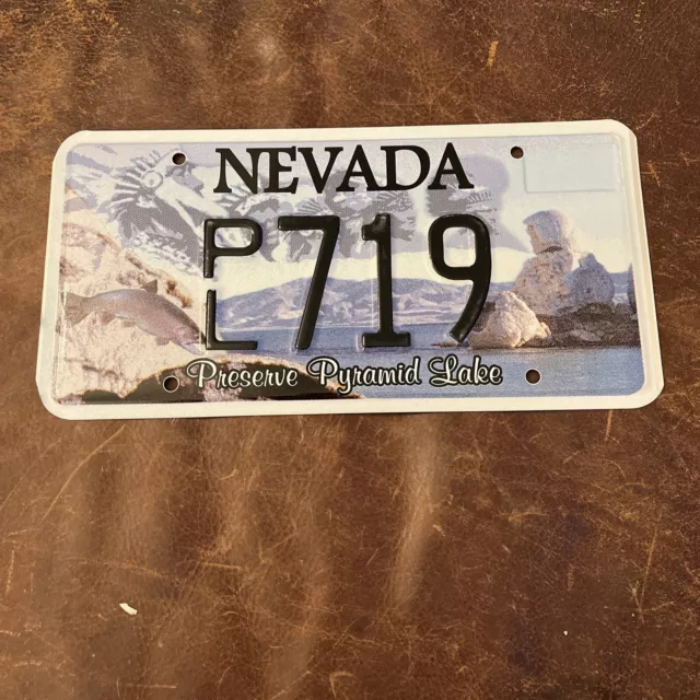 Nevada PRESERVE PYRAMID LAKE License Plate mint Graphic Tag # 719