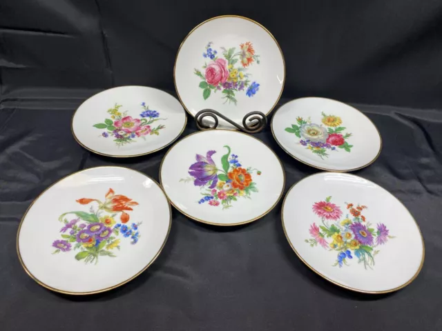 Set of 6 ~ Bareuther "FLORAL" Waldsassen Germany #253 ~ Dessert Plates  ~ 7 3/4"