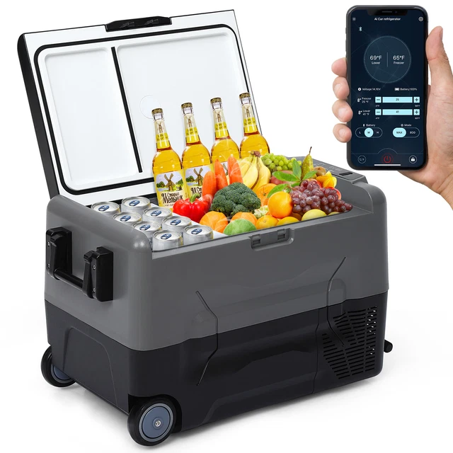 35L RV Car Freezer Electric Cooler Fridge 12V Refrigerator APP Control Camping