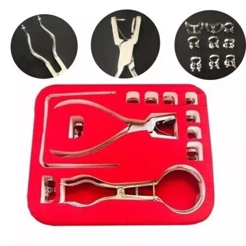 Dental Rubber Dam Starter Kit with Frame Punch Clamps Dental Instruments 12Pc