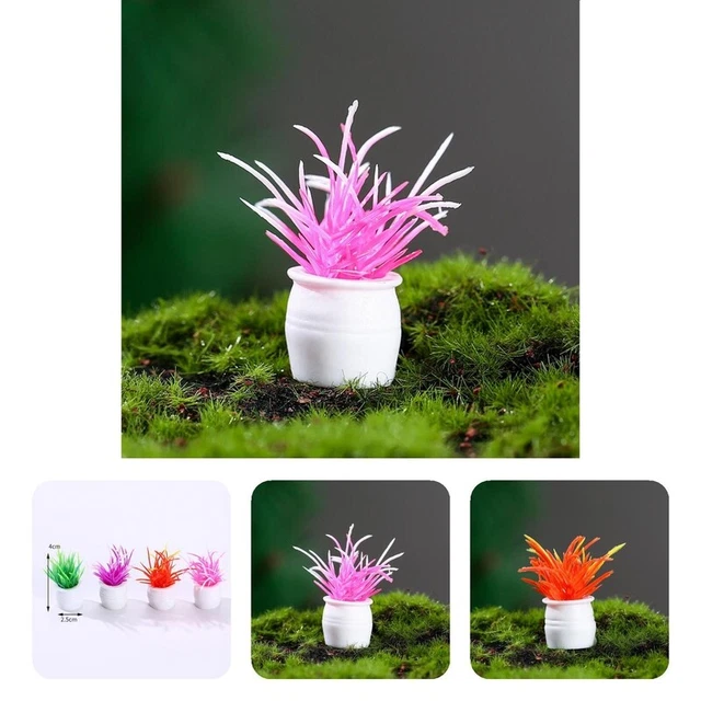 4 Teile / satz Topfpflanze Miniatur Lebendige Zierpflanze Elegante Feine Textur