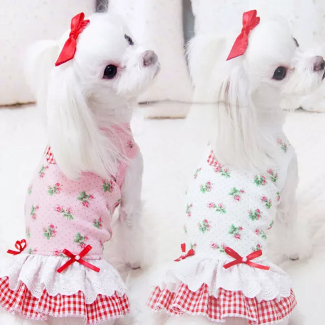 Vêtements doux pour animaux de compagnie, robe pour petit chien et chat,...