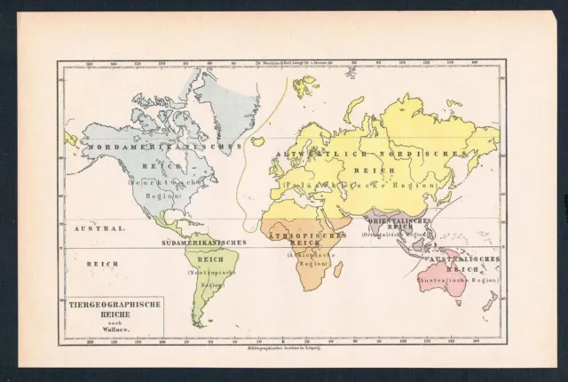 1890 - Tiergeographische Carte L'Amérique Australie Asie Lithographie