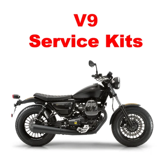 guzzi roamer 2020