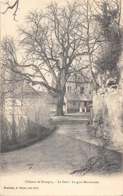 95-Osny-Chateau De Busagny-N 6014-B/0021