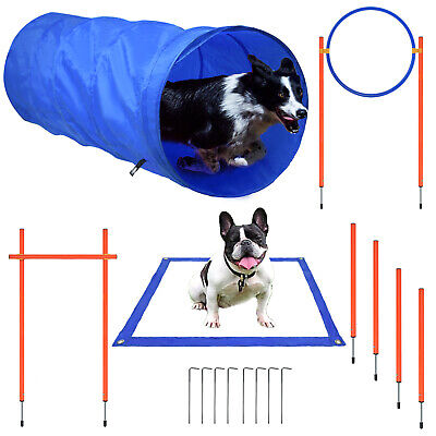 Juego de agilidad para perros 2022 plástico entrenamiento para perros con túnel para perros fácil de llevar