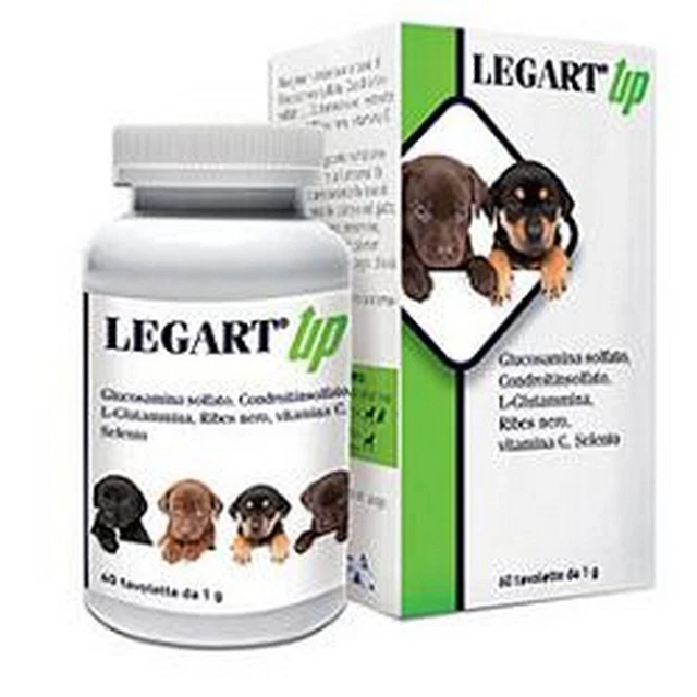 Legart Up 60 Compresse Da 1 G