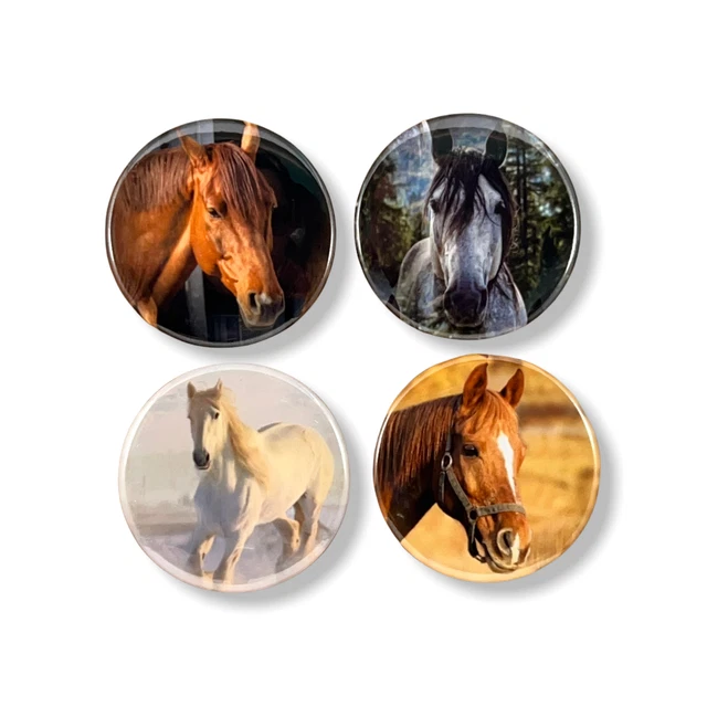 Horse Set of 4 - 2.25 Inch Magnets for Fridge Whiteboard Office Kitchen Magnet
