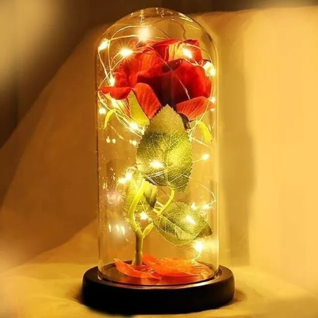 Eternal Rose Flower LED Enchanted Galaxy Rose Girlfriend