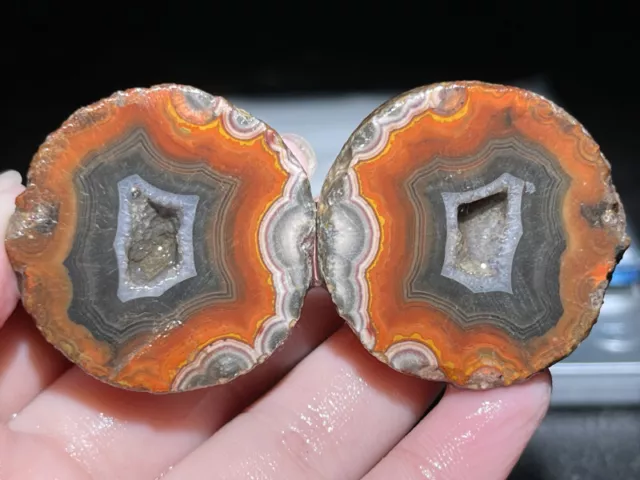 A Pair Rough Agate / Achat Nodule Chinese Fighting Blood Agate Xuanhua 72G Y59