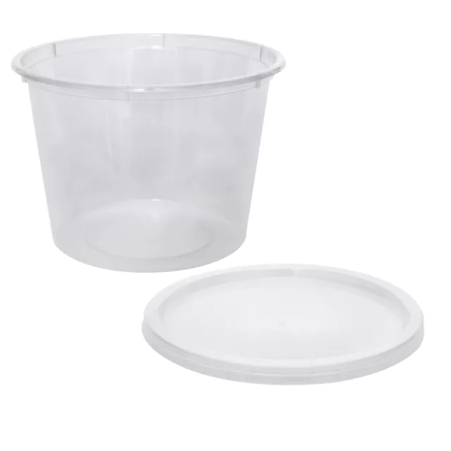 50x Clear Plastic Container with Flat Lid 625mL Round Disposable Reusable