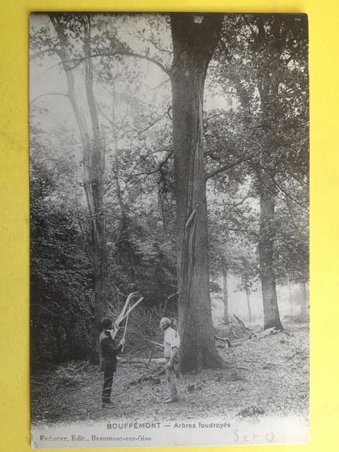 cpa FRANCE 95 - BOUFFÉMONT Val d'Oise ARBRES FOUDROYÉS Tree
