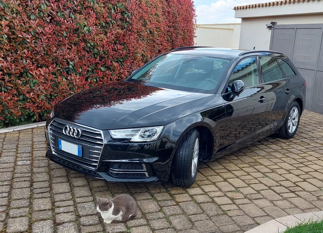 Audi A4 b9 Avant Business Sport Audi A4 b9 Avant Business Sport