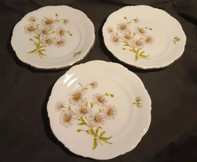 3 Mitterteich Bavaria Germany  Daisy Bell Salad Plates w/Gold Trim Set of 3 EUC