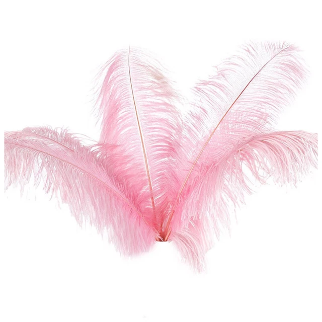 10 pcs Natural Ostrich Feathers Wedding Party Decoration Pink 20-25cm Q3M6M6