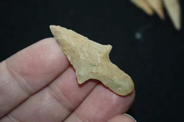 Gary type Neolithic arrow point Indian Texas Late Archaic Period #3