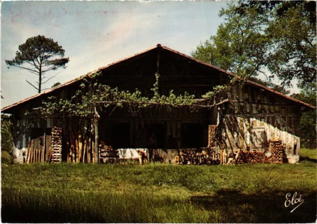 CPM Vieille ferme landaise FRANCE (1337682)