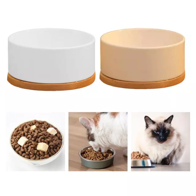 Constant Temperature Pet Bowl 1.25L Heated Water Bowl for Dog Chicken Rabbit 2