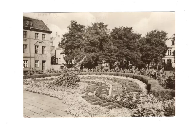 AK Ansichtskarte Cottbus / Blumenuhr