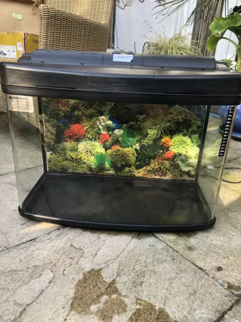 Interpet Fish Pod 64L tropical or cold water everthing included